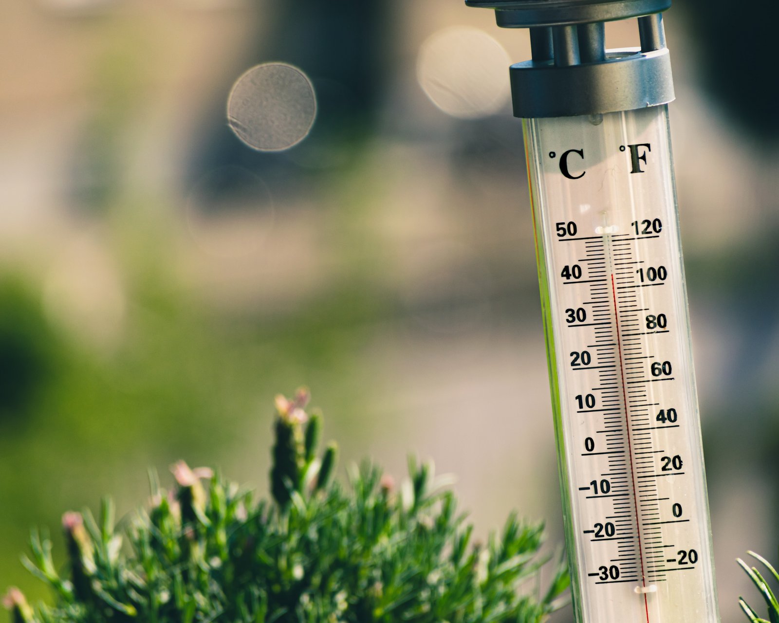 Thermometer toont de huidige temperatuur